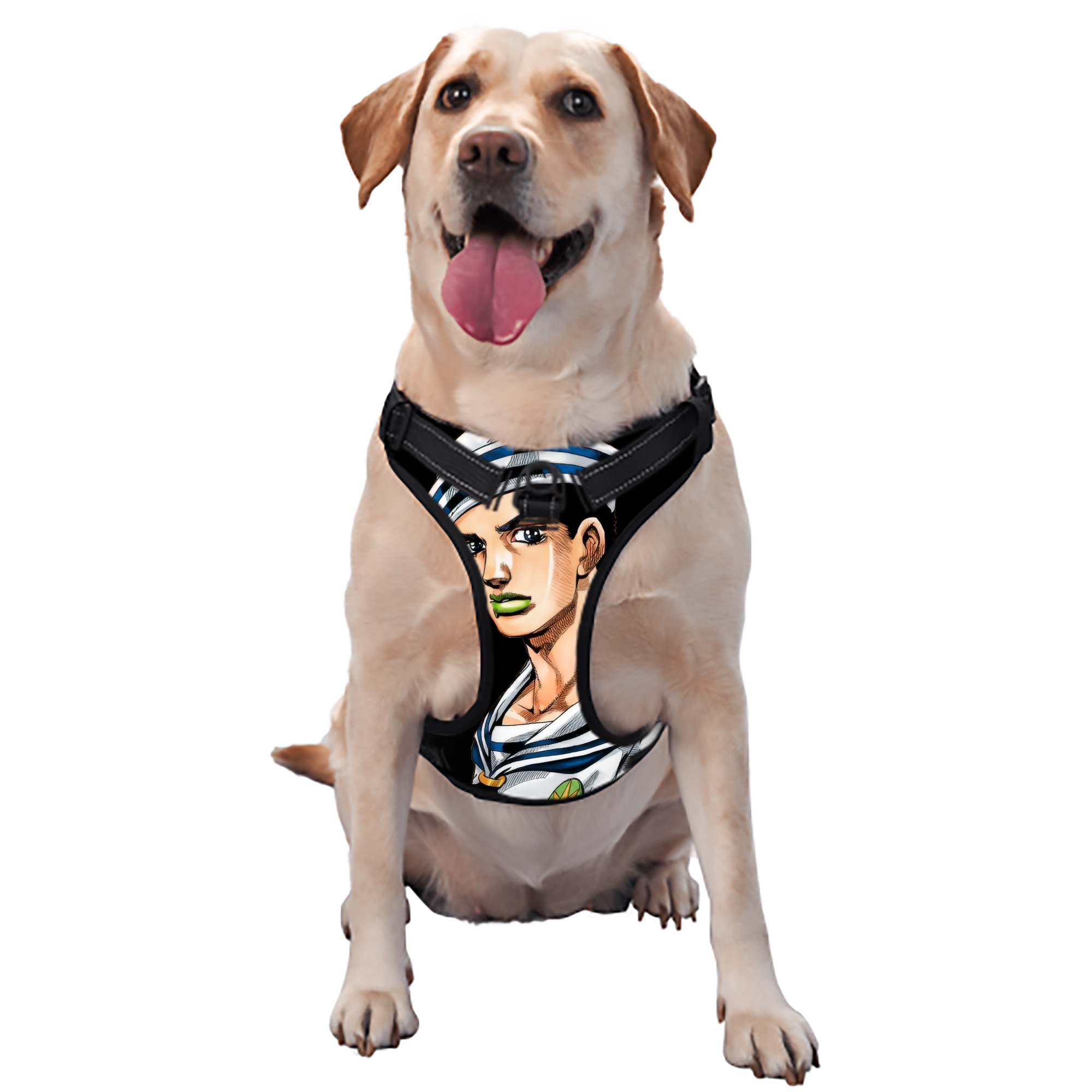 （画像用） ジョジョの奇妙な冒険 東方定助 JoJo's Bizarre Adventure Higashikata Josuke ペット用ハーネス